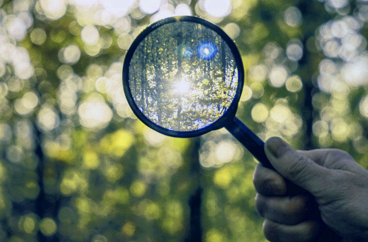 Strategies to Increase Brand Visibility