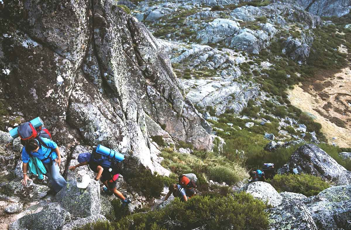 Partner Marketing Solution.jpg